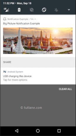 Android Big Picture Style Notifications Example Result