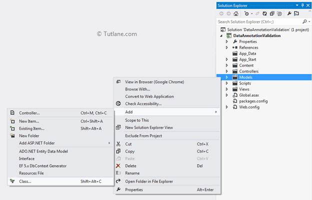 Create new model in data annotation application in asp.net mvc application