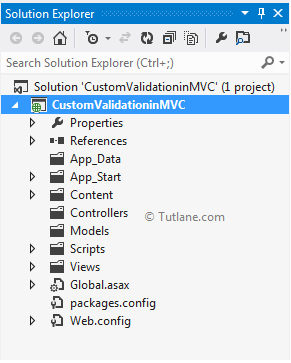 custom validations project structure in asp.net mvc with example