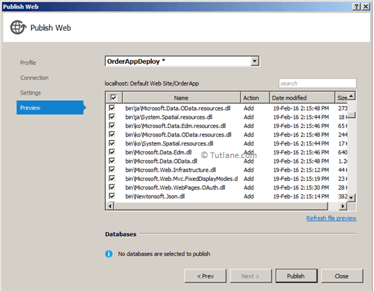 Preview Files which we are going to publish using visual studio