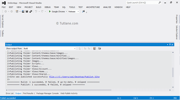 Publishing Website Status using File System in Visual Studio