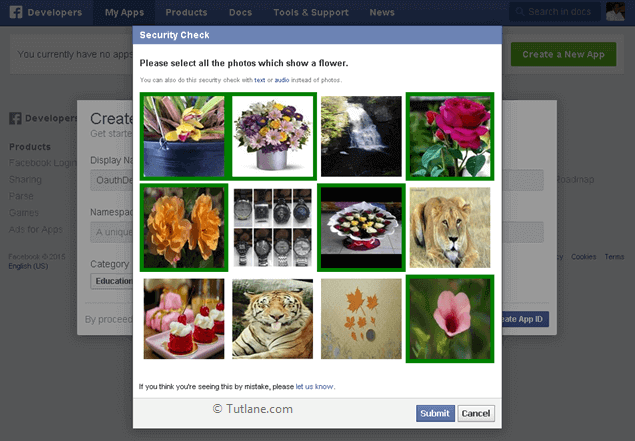 select security image to create new app in facebook