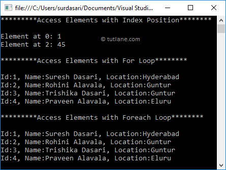 C# Access List Elements Example Result