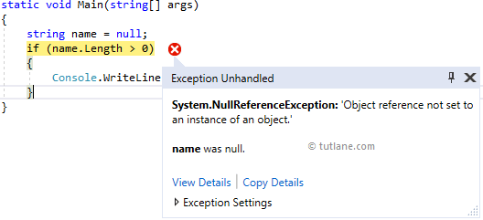 C# NullReferenceException Example Result