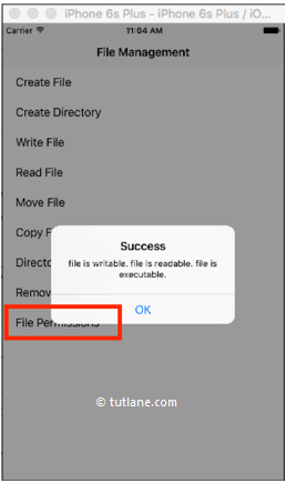 ios file system give permission for file to read example result