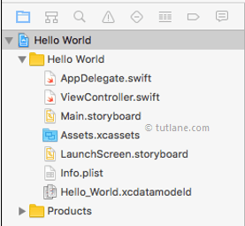 Main Files in iOS Xcode Application Project