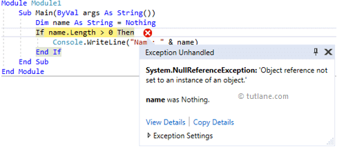 Visual Basic NullReferenceException Example Result